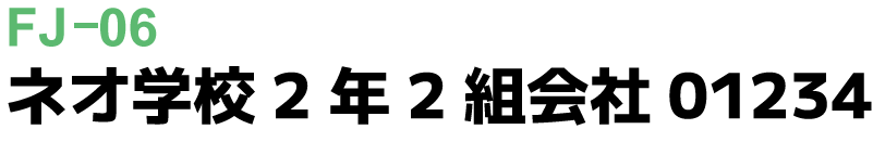 fj-06